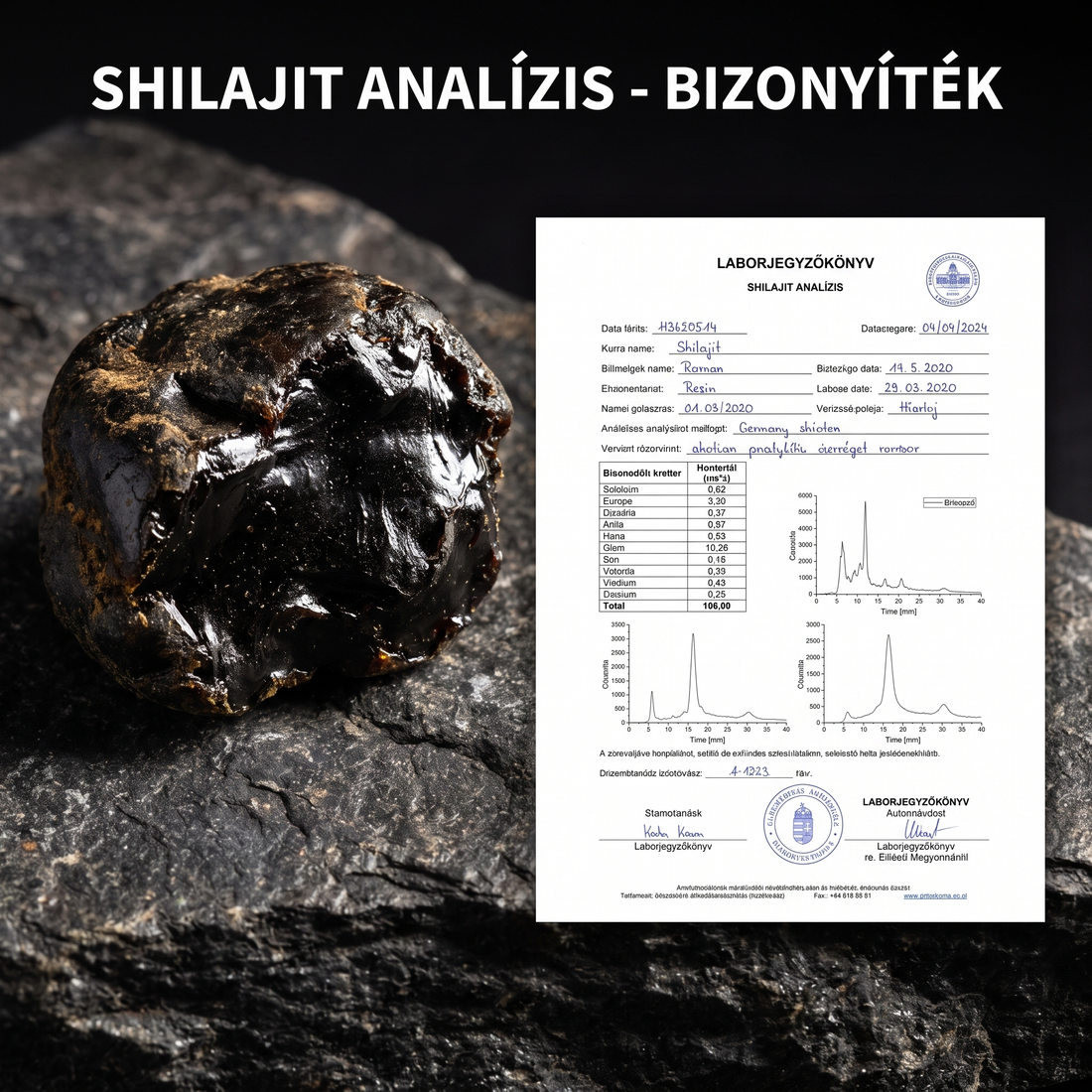 shilajit mellékhatás és laborvizsgálat — nyers gyanta jegyzőkönyvvel"