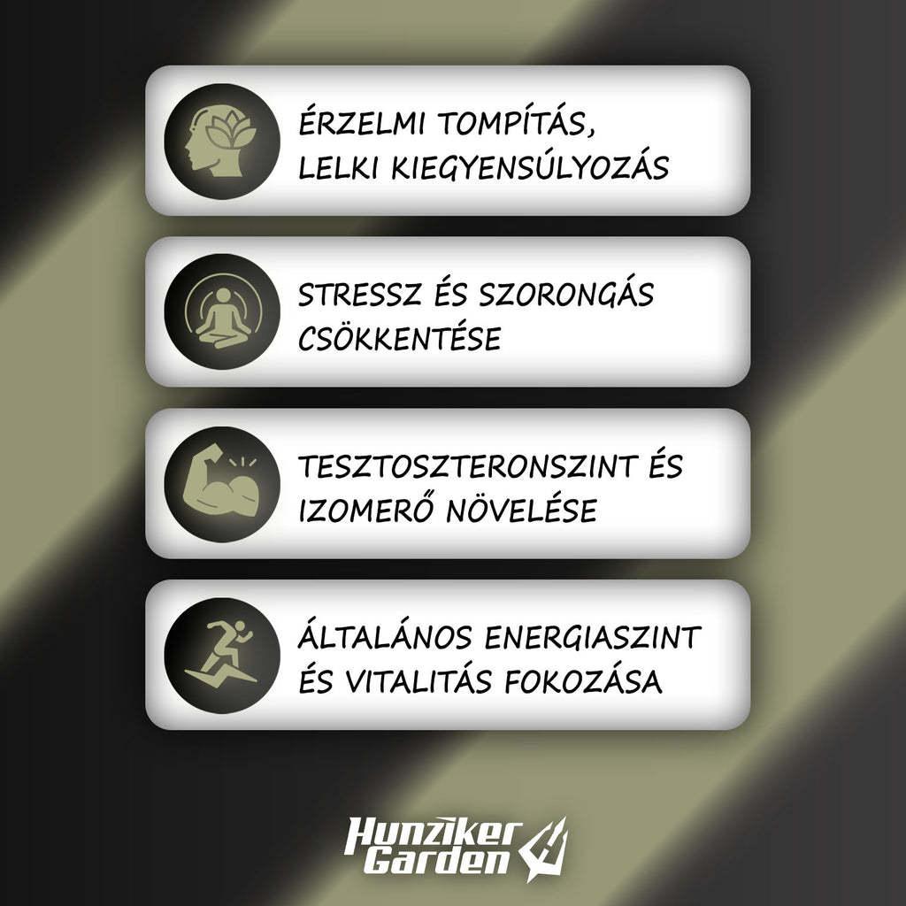 Szorongás oldása és a belső nyugalom visszanyerése