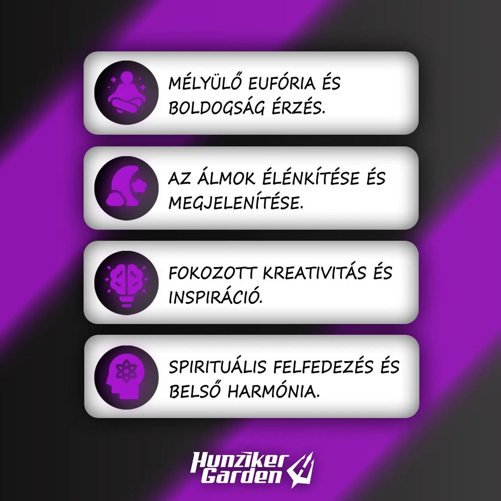 Természetes alvássegítő gyógynövény az átaludt éjszakákért