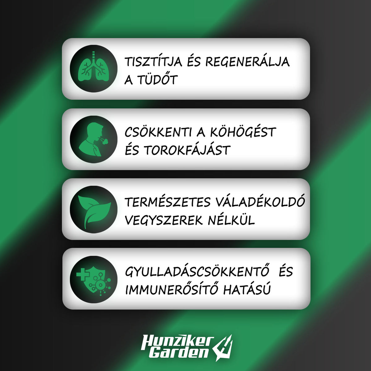 Tüdőfű tea infografika